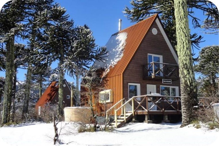 cf825c097071cfd40d4c7a9ba6880f65@2x